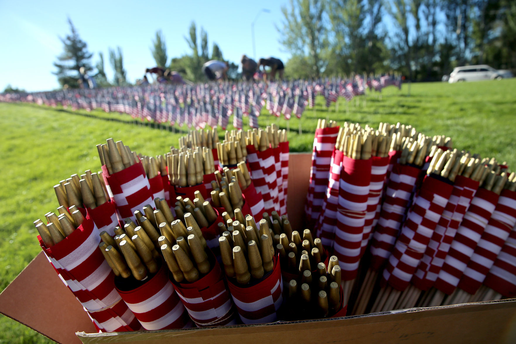 Furled flags